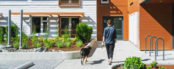 A person walking their dog on a leash along a sidewalk between modern residential buildings with landscaped gardens under clear blue skies.